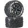 Duratrax Sidearm MT 28 2 Wheel Drive Mounted Rear C2 Black 2 DTXC3514