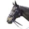 Intrepid International Exselle Horse Bridle  Durable Nylon Racehorse Bridle with Adjustable Rubber Grip Horse Reins Cavesson  Curb Strap Attached  English Bridle Sets for Horses Black