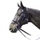 Intrepid International Exselle Horse Bridle  Durable Nylon Racehorse Bridle with Adjustable Rubber Grip Horse Reins Cavesson  Curb Strap Attached  English Bridle Sets for Horses Black