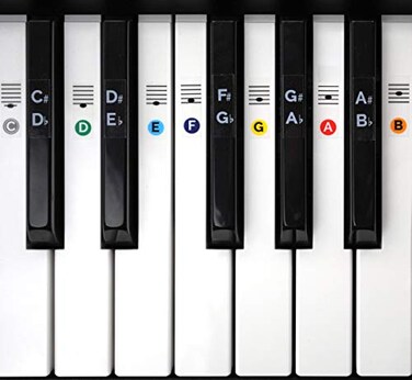 Color Piano Keyboard Stickers Removable Transparent for White  Black Keys