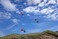 Flexifoil Kitesurf Trainer Kite with Bar  Kitesurfing 26m Control Training Kite  Kids  Adult Kiteboarding  Best Beach Summer Sport Power Kite  Fun Kiteboard Kiting Activity  Easy to Fly 24m