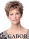 Hairuwear Eva Gabor Collection ZEST G8 Wig