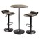 Winsome Wood Cora 3Piece Round Pub Table with 2 Swivel Stool Set