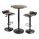 Winsome Wood Cora 3Piece Round Pub Table with 2 Swivel Stool Set