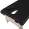 EARTHLITE MediSport Portable Massage Table Package  Heavy Duty Low Height Range Ideal for Osteopaths Chiropractors  Physical Therapists incl Face Hole Filler and Carry Case Black