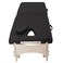 EARTHLITE MediSport Portable Massage Table Package  Heavy Duty Low Height Range Ideal for Osteopaths Chiropractors  Physical Therapists incl Face Hole Filler and Carry Case Black
