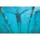 StretchCordz Stationary Swim Trainer Green