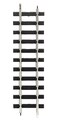 Bachmann Trains  G Scale Large Scale Straight Track Piece  Case of 50 pieces