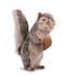 Hansa Squirrel Plush 8 Gray