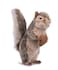 Hansa Squirrel Plush 8 Gray