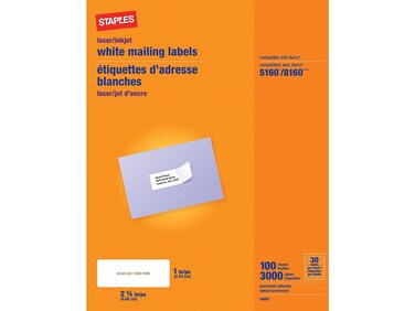 Staples White InkjetLaser Address Labels 1 X 258 3000Box