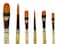 ZEM BRUSH Golden Synthetic Combo Set 6 Pcs Brushes Oval 34 Shaders 6  10 Rounds 6  10 Angle 38