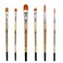 ZEM BRUSH Golden Synthetic Combo Set 6 Pcs Brushes Oval 34 Shaders 6  10 Rounds 6  10 Angle 38