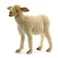 Hansa Life Size Baby Lamb 20 Plush