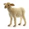 Hansa Life Size Baby Lamb 20 Plush