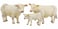 Little Buster Toys Charolais Bull  Realistic Bull 116th Scale