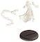 Privateer Press  Hordes  Skorne Bloodrunner Master Tormentor Model Kit