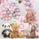 DOLDOA 5 Packs 13 Soft Stuffed Animals Plush Cute Easter BunnyTeddy BearMonkeyPandaRabbit Toy for Kids Boys Girls as a Gift for BirthdayChristmasValentines Day 5 Colors