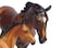 Breyer Traditional Series GG Valentine  Heartbreaker  2 Horse Set  Model Horse Toy  19 Scale  Model 1474