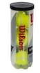 Wilson Titanium All Court Surfaces Tennis Balls