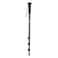 Vivitar VT67 67Inch Monopod for CameraVideo Black