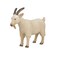 MOJO Billy Goat Realistic International Wildlife Hand Painted Toy Figurine