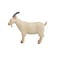 MOJO Billy Goat Realistic International Wildlife Hand Painted Toy Figurine