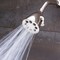 Speakman S2251PN Signature Icon Anystream High Pressure Adjustable Solid Brass Shower Head Polished Nickel