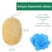 Natural Loofah Exfoliating Sponge 4 Pack  Loofa Body Scrubber  Loofah Sponge  Loofah Exfoliating Body Scrubber  Organic Loofah  Shower Luffa Sponges  Exfoliating Loofah  Biodegradable Loofah