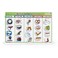 Excellerations My 5 Senses Magnetic Activity Set 12 x 18 inches Pack of 55 Educational STEM Toy Preschool Kids Toys