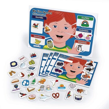 Excellerations My 5 Senses Magnetic Activity Set 12 x 18 inches Pack of 55 Educational STEM Toy Preschool Kids Toys