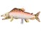 ha Hansa Salmon Plush Toy 16 L