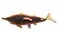 ha Hansa Salmon Plush Toy 16 L