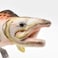 ha Hansa Salmon Plush Toy 16 L