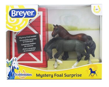 Reeves Mystery Foal Surprise Assorted 5938 Na