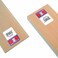 Midwest Products 4404 MicroCut Quality Basswood Sheet Bundle 0125 by 4 by 24Inch