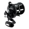 Daiwa Sealine Conventional Levelwind Reel