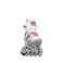 Rollerblade Bladerunner Phoenix Girls Adjustable Fitness Inline Skate White and Pink Junior Value Performance Inline Skates Youth Junior 1 to 4