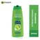 Garnier Fructis Fortifying Shampoo  Long  Strong BIG BOTTLE