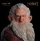 WETA Workshop 870100986 Hobbit Statue Balin 16 Scale 16