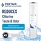 Pentair Pentek RFCBB Big Blue Carbon Water Filter 10Inch Whole House Heavy Duty Radial Flow Carbon Replacement Cartridge with Granular Activated Carbon GAC Filter 10 x 45 25 Micron