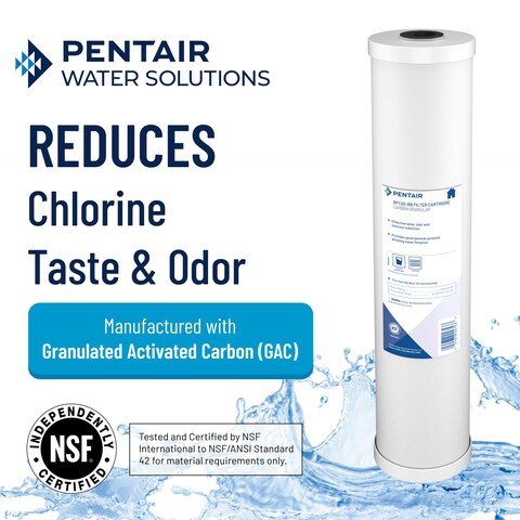 Pentair Pentek RFCBB Big Blue Carbon Water Filter 10Inch Whole House Heavy Duty Radial Flow Carbon Replacement Cartridge with Granular Activated Carbon GAC Filter 10 x 45 25 Micron