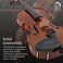 Stentor 4String Violin BrownRed 1500 44
