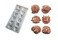 Polycarbonate Horoscope Mold 12 Cavities
