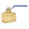 Eastman 2 Inch IPS Heavy Duty Full Port Ball Valve Brass Plumbing Fitting 20055LF