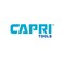 Capri Tools 10110 Premium Welding Pliers 75 inch black blue