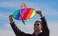 Prism Flip Singleline Kite