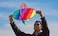 Prism Flip Singleline Kite