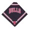 Sporty K9 NBA Chicago Bulls Dog Bandana Small