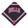 Sporty K9 NBA Chicago Bulls Dog Bandana Small